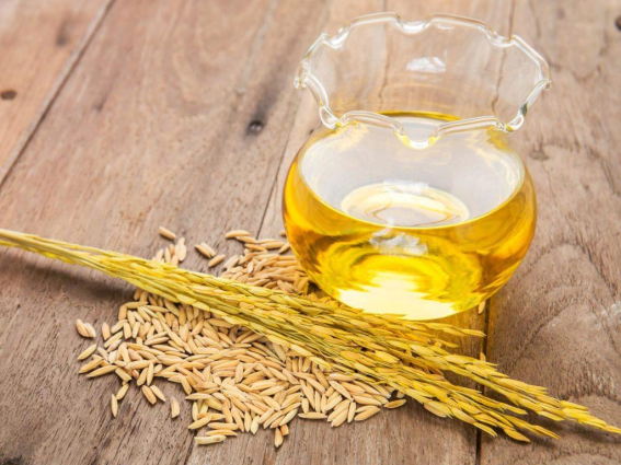 Is rice bran oil good for human health ?