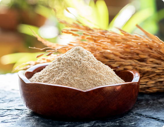 What is Rice Bran extract ?