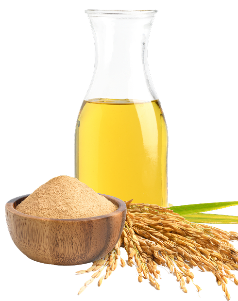 Hình ảnh tác dụng